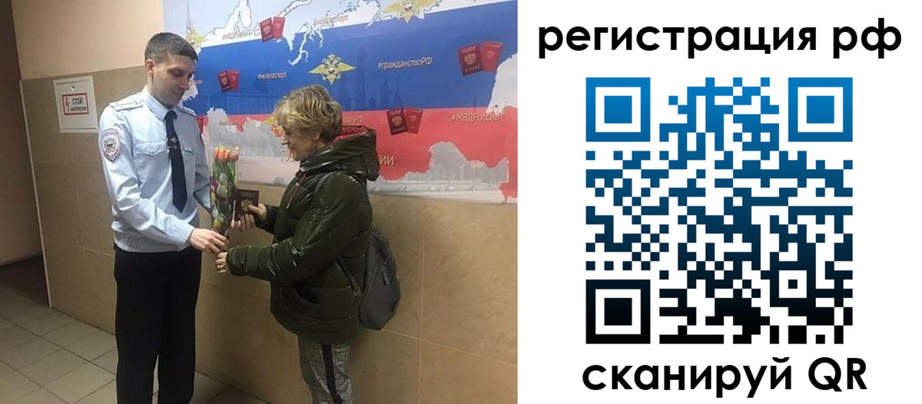 прописка 2025 в Ельне