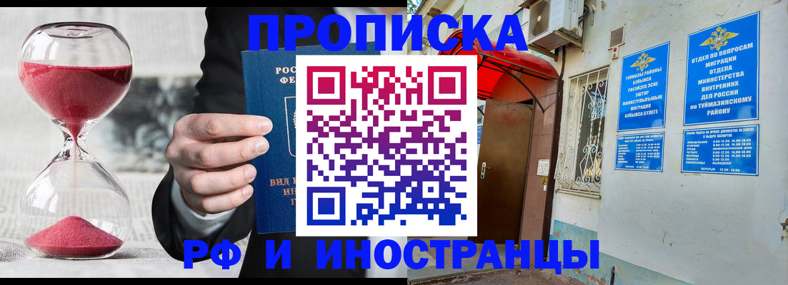 прописка 2025 в Ельне